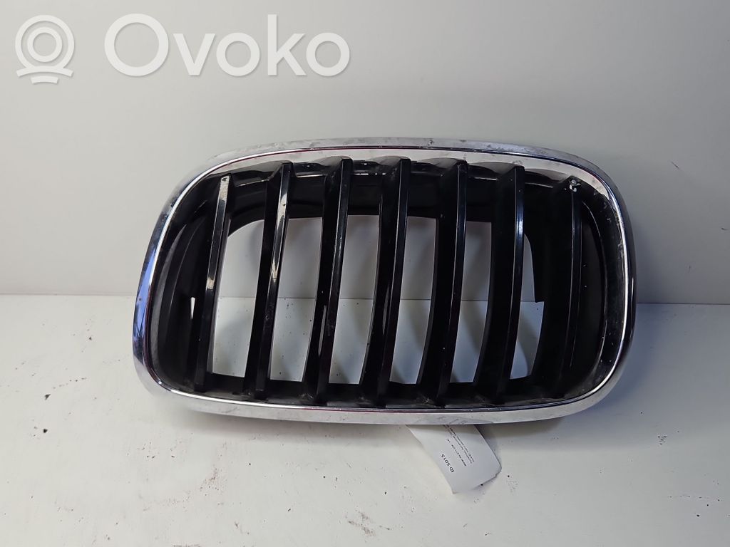 BMW X6 E71 Front bumper upper radiator grill 