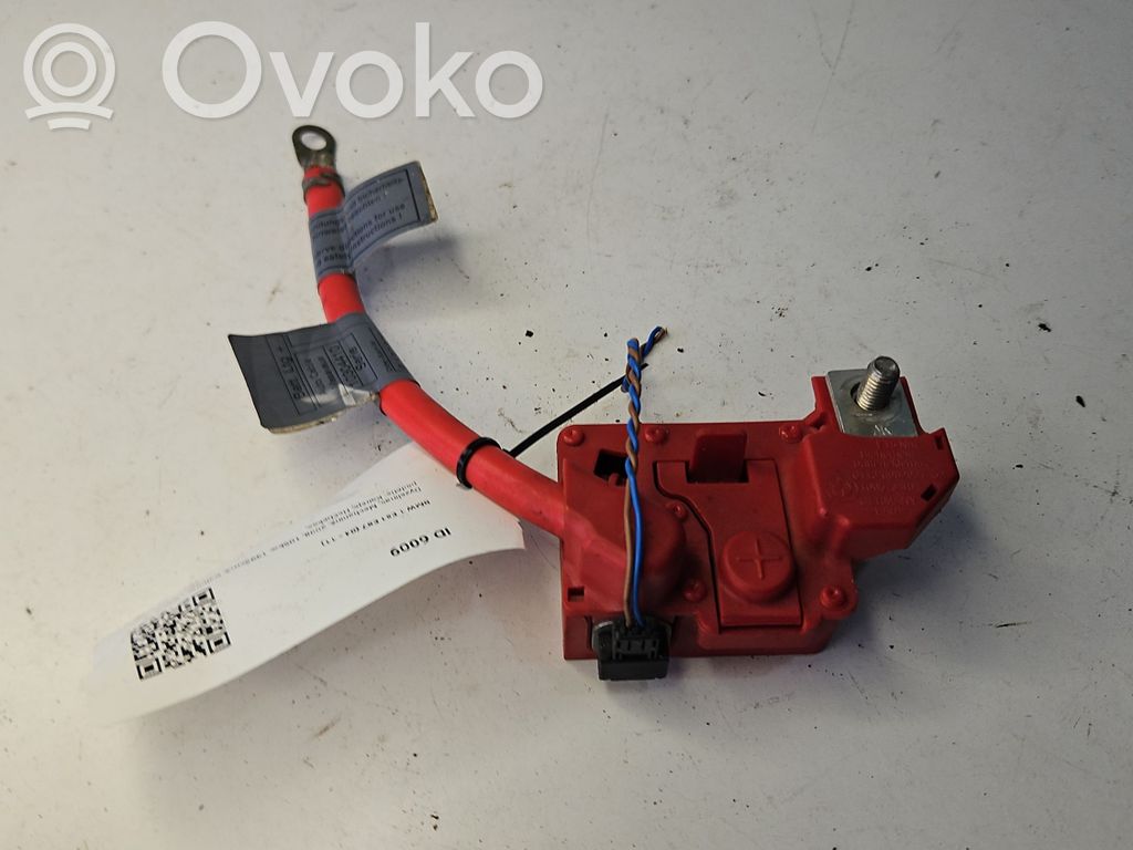 Positive cable (battery)   9130879,9130879,508699095
