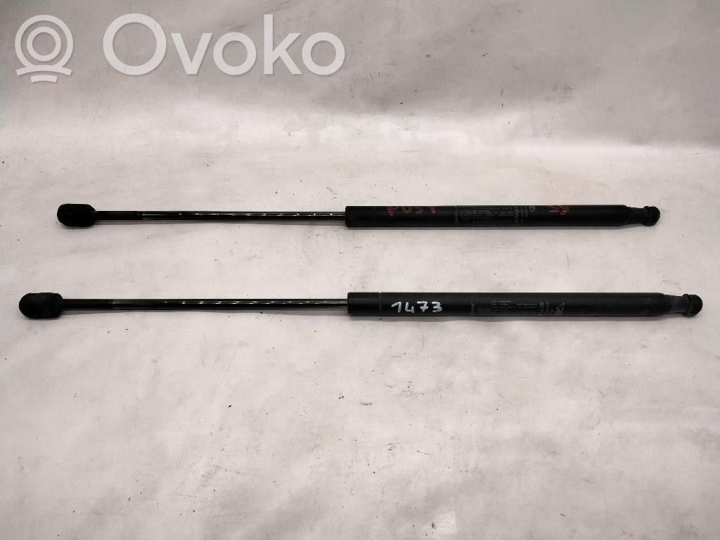 Fiat Bravo Amortizatorius galinio dangčio 