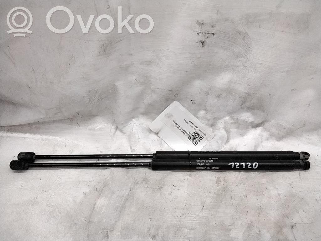 Fiat Bravo Tailgate/trunk strut/damper 