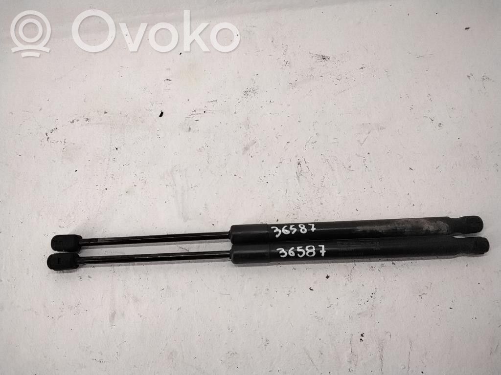Skoda Roomster (5J) Amortizatorius galinio dangčio 