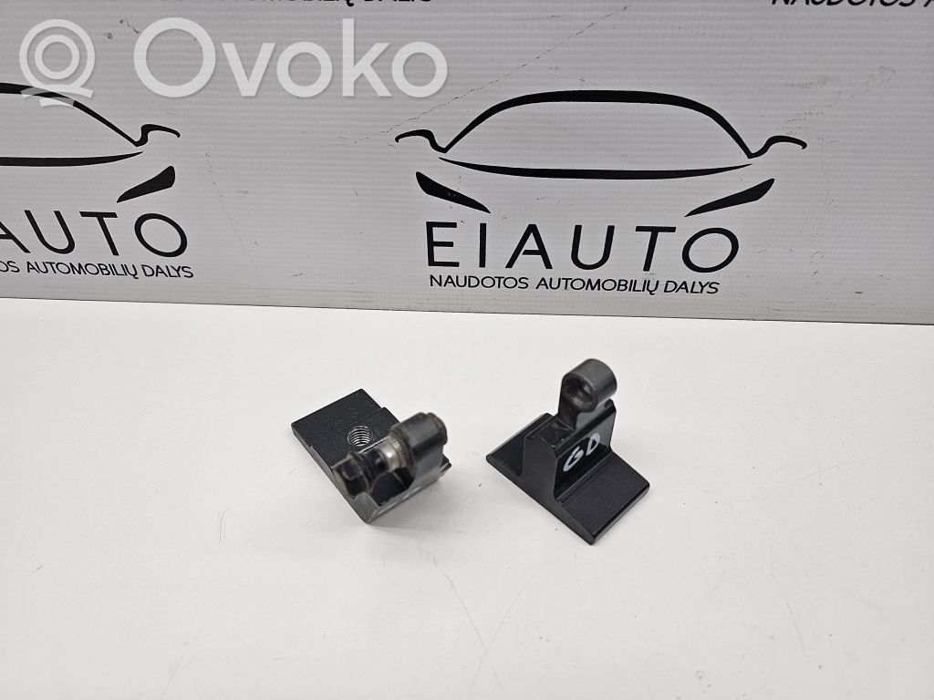 BMW X6 E71 Rear door hinge set 