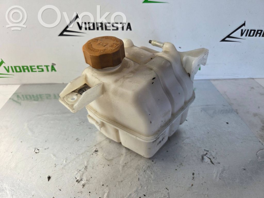 Opel Antara Aušinimo skysčio išsiplėtimo bakelis 