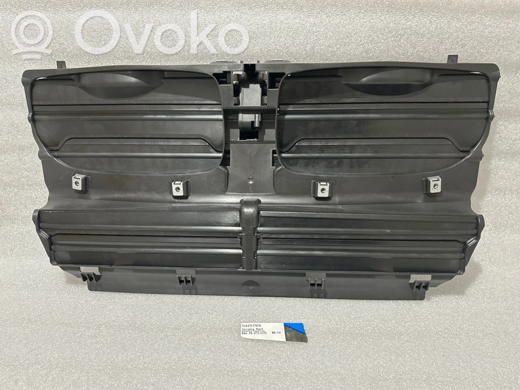 BMW X6 E71 Radiatoriaus oro nukreipėjas (-ai) 