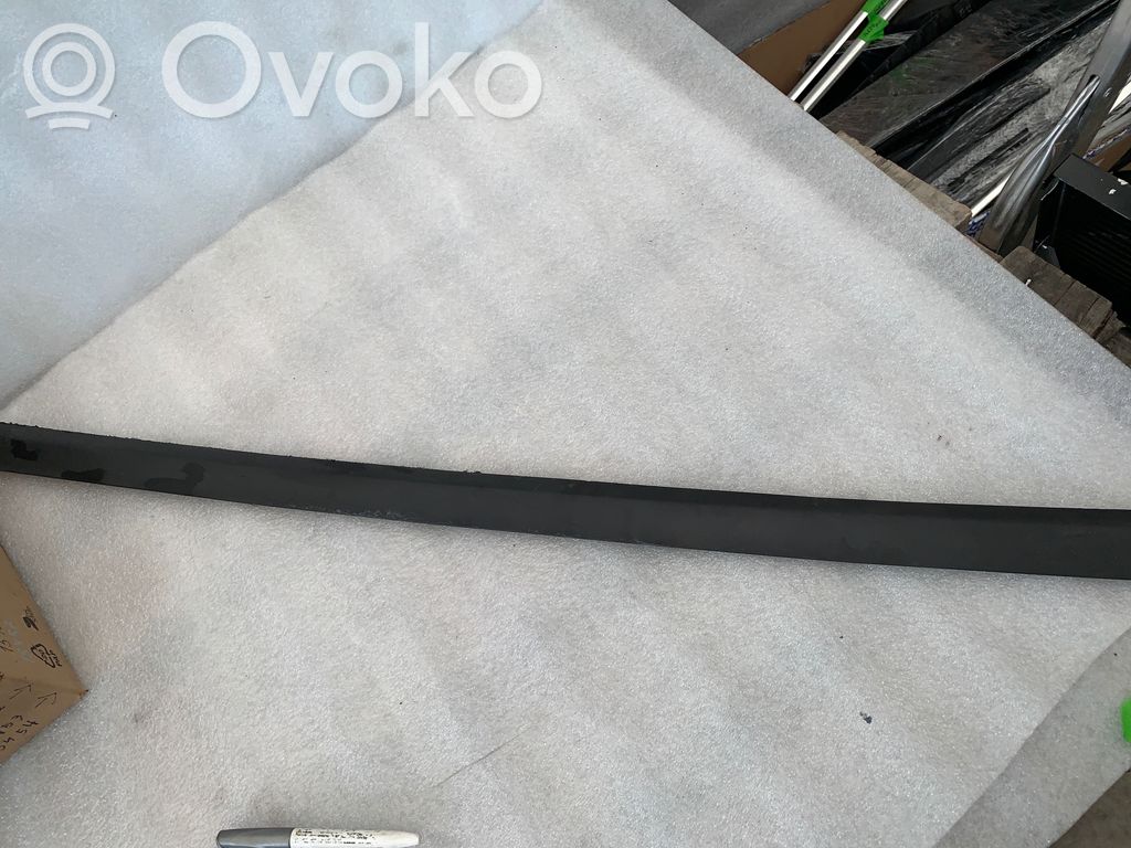Volkswagen PASSAT B6 Rivestimento della portiera anteriore (modanatura) 