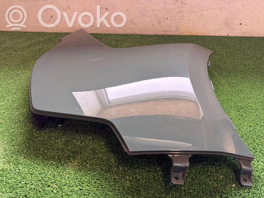 KIA Niro Guardabarro 