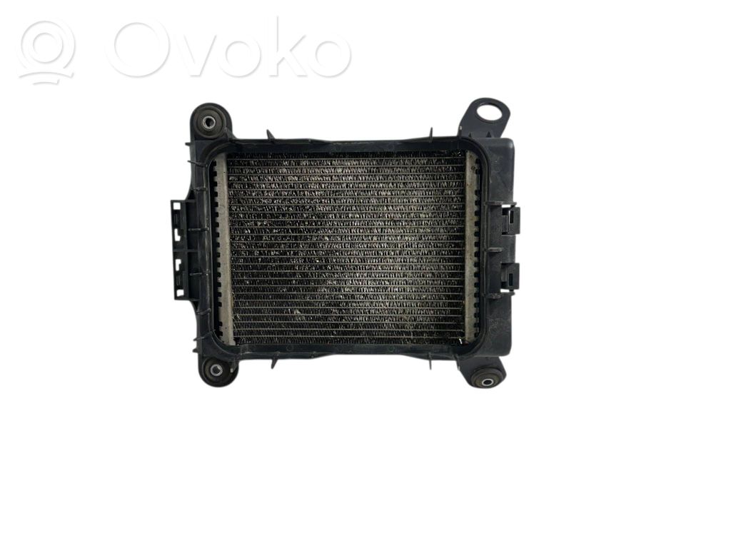 BMW 4 F32 F33 Radiator opțional 