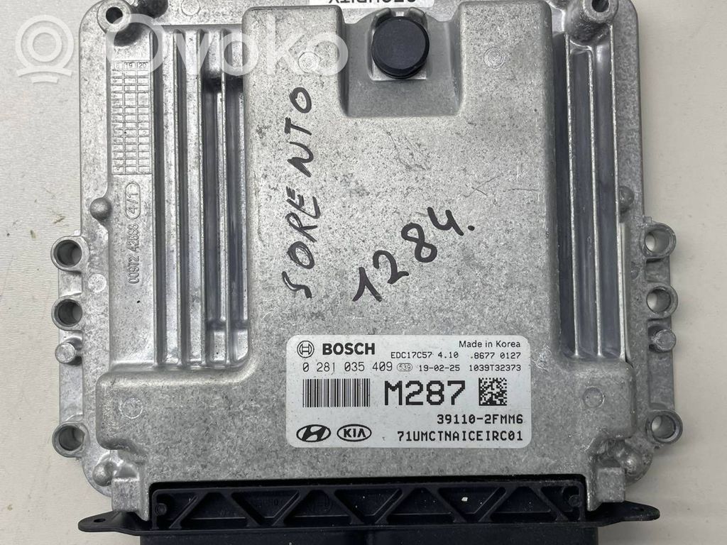 Engine control unit/module   0281035409,391102FMM6