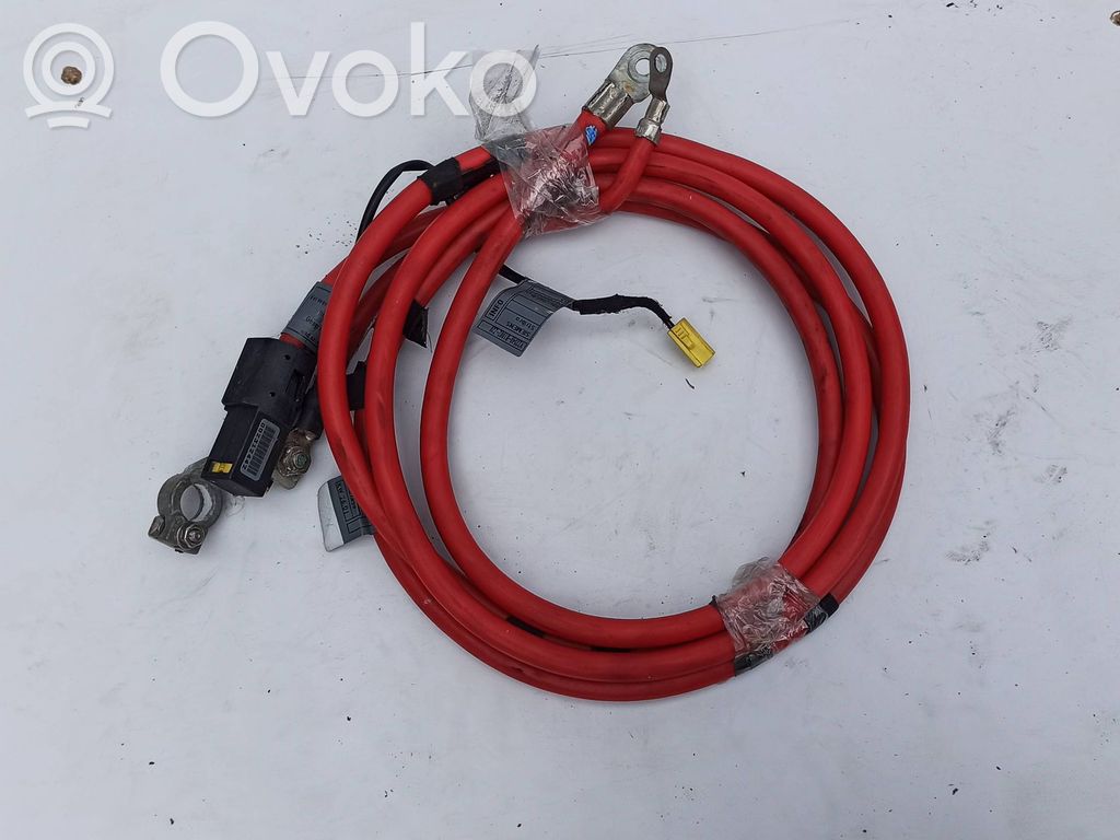 Positive cable (battery)   6900105