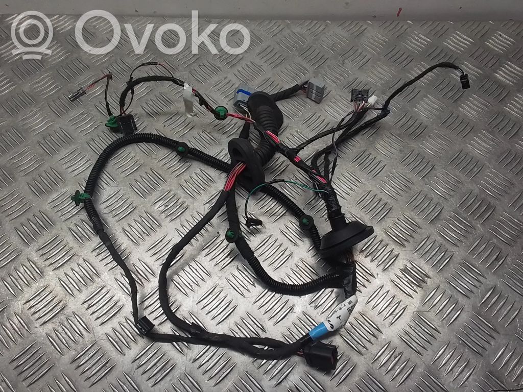 Cableado de puerta trasera   100442600R