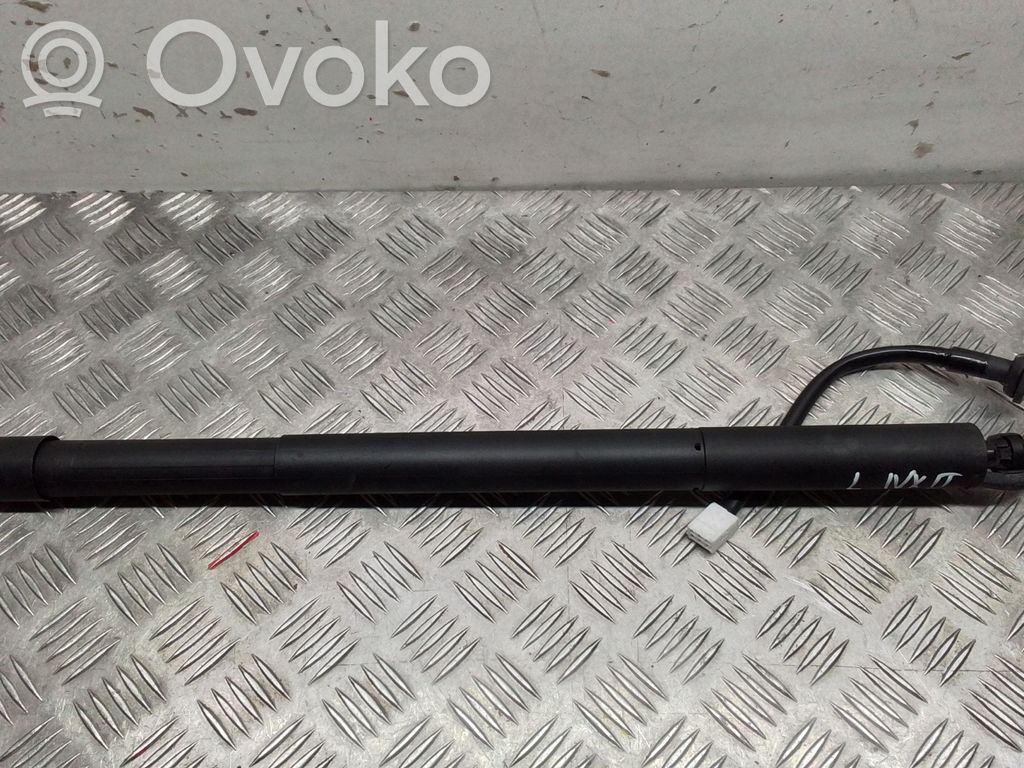 Lexus NX Tailgate/trunk strut/damper 