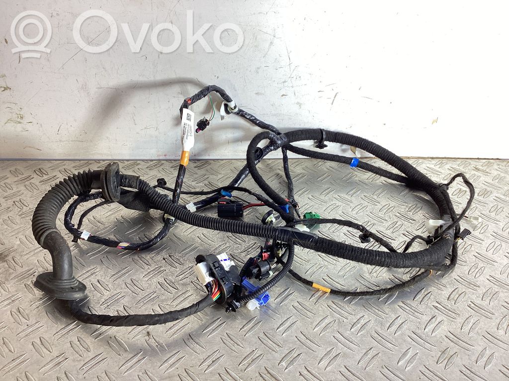 Tesla Model Y Cableado de puerta delantera 