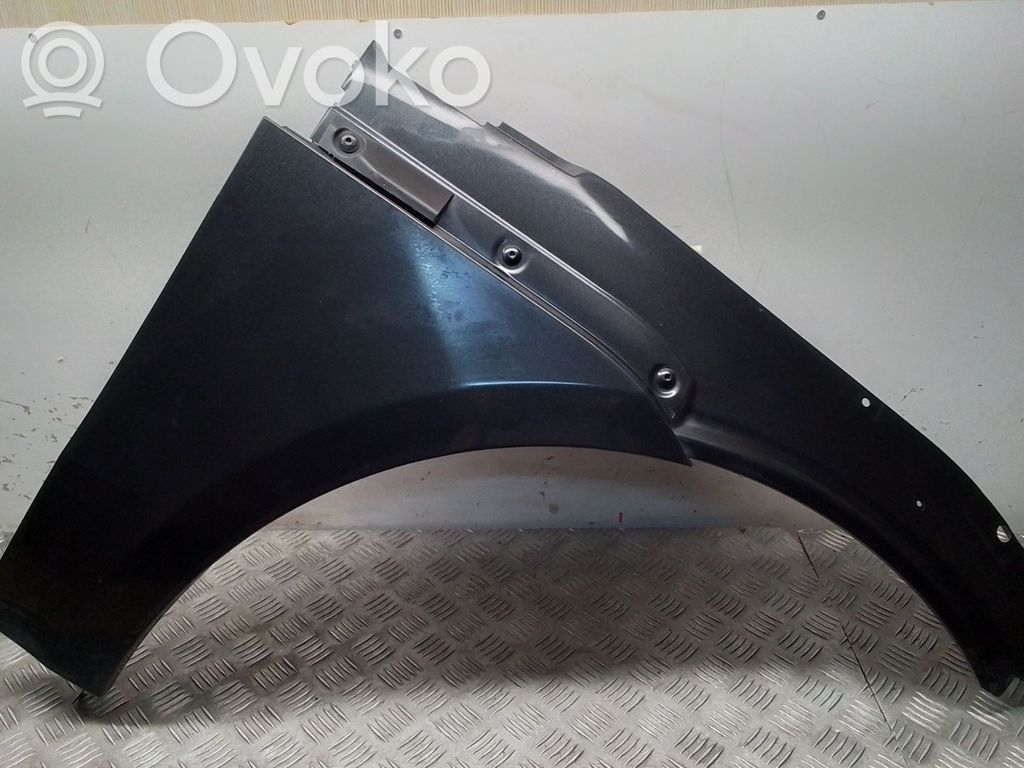 Guardabarro   95B821104B
