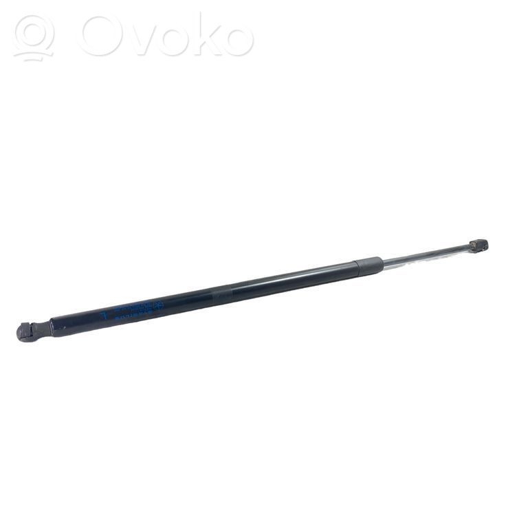 Dodge Durango Tailgate/trunk strut/damper 