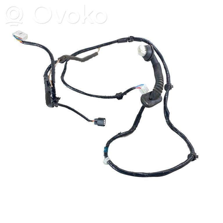 Subaru Outback (BT) Cableado de puerta trasera 