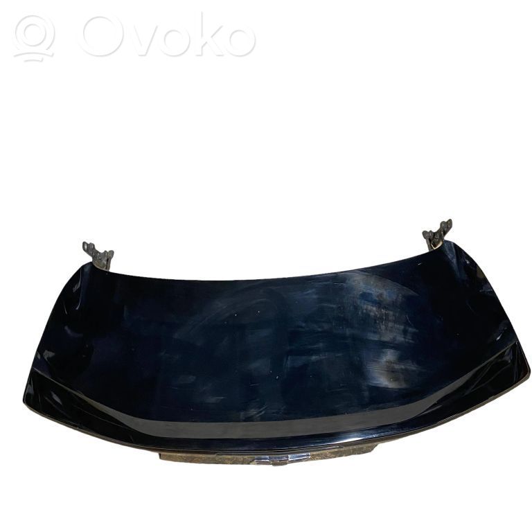 Tailgate/trunk/boot lid