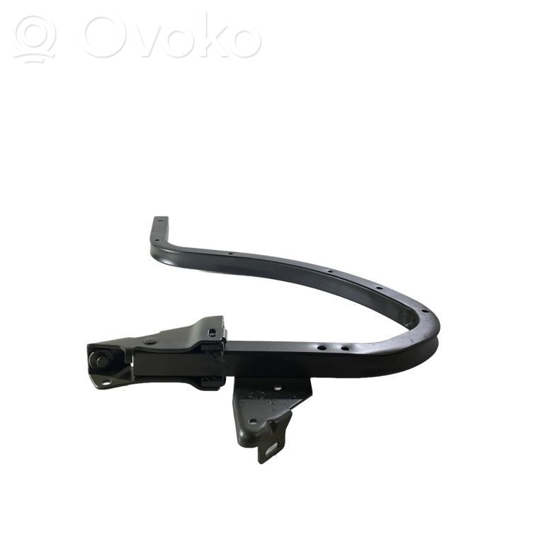 Dodge Charger Tailgate/trunk/boot hinge 