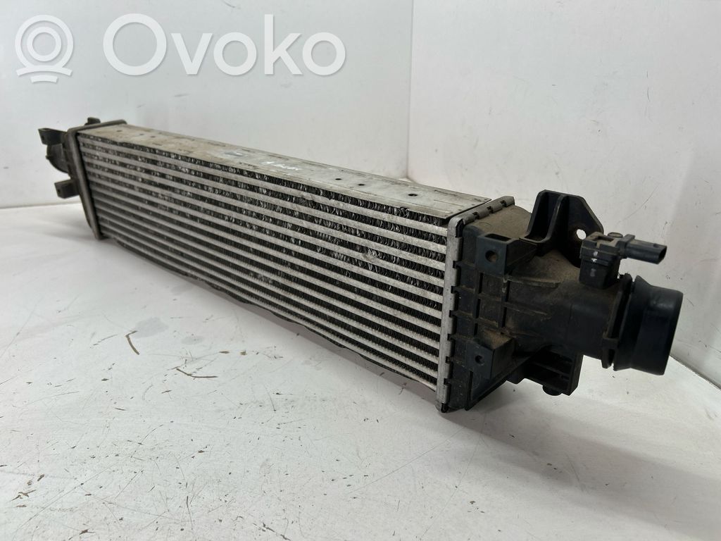 Interkūlerio radiatorius   95406939,8L01CJ