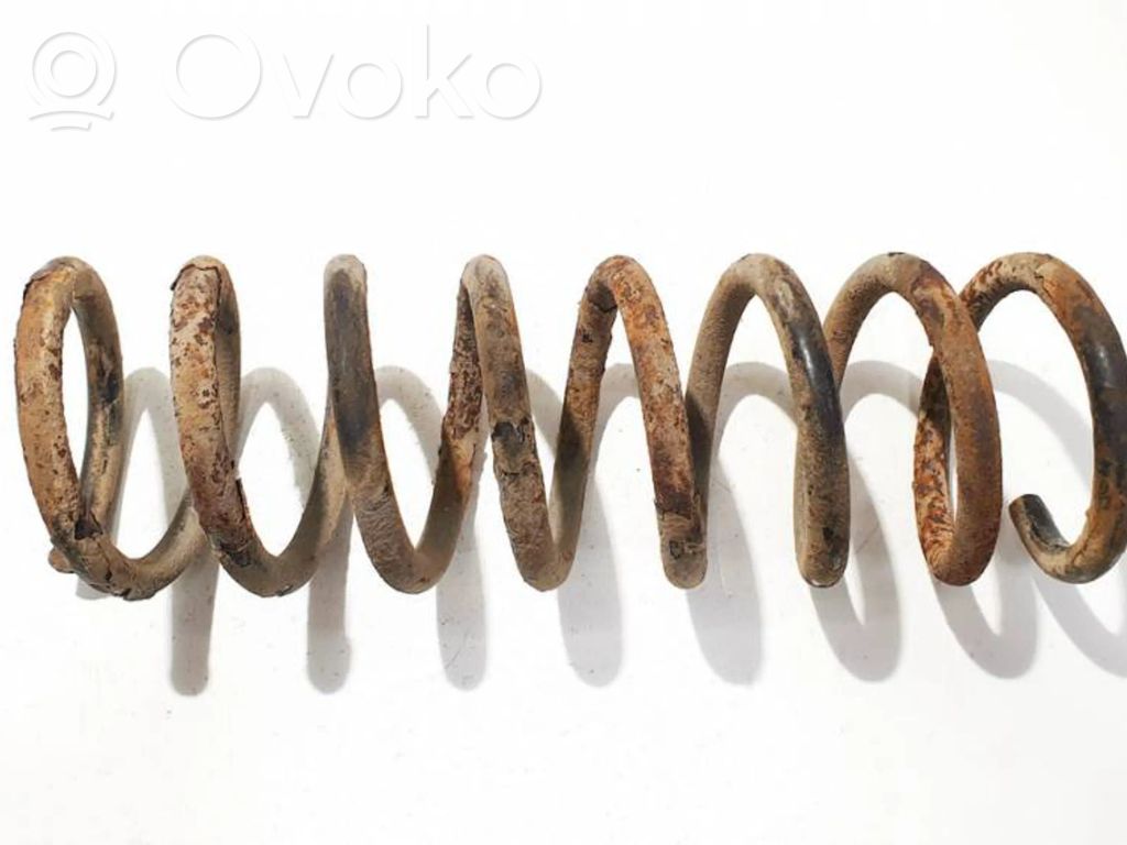 Rear coil spring