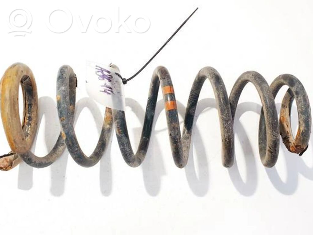 Rear coil spring