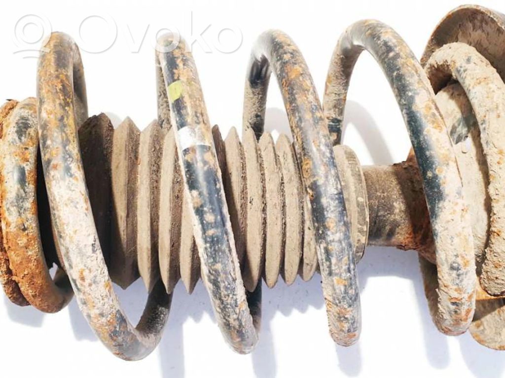 Front coil spring
