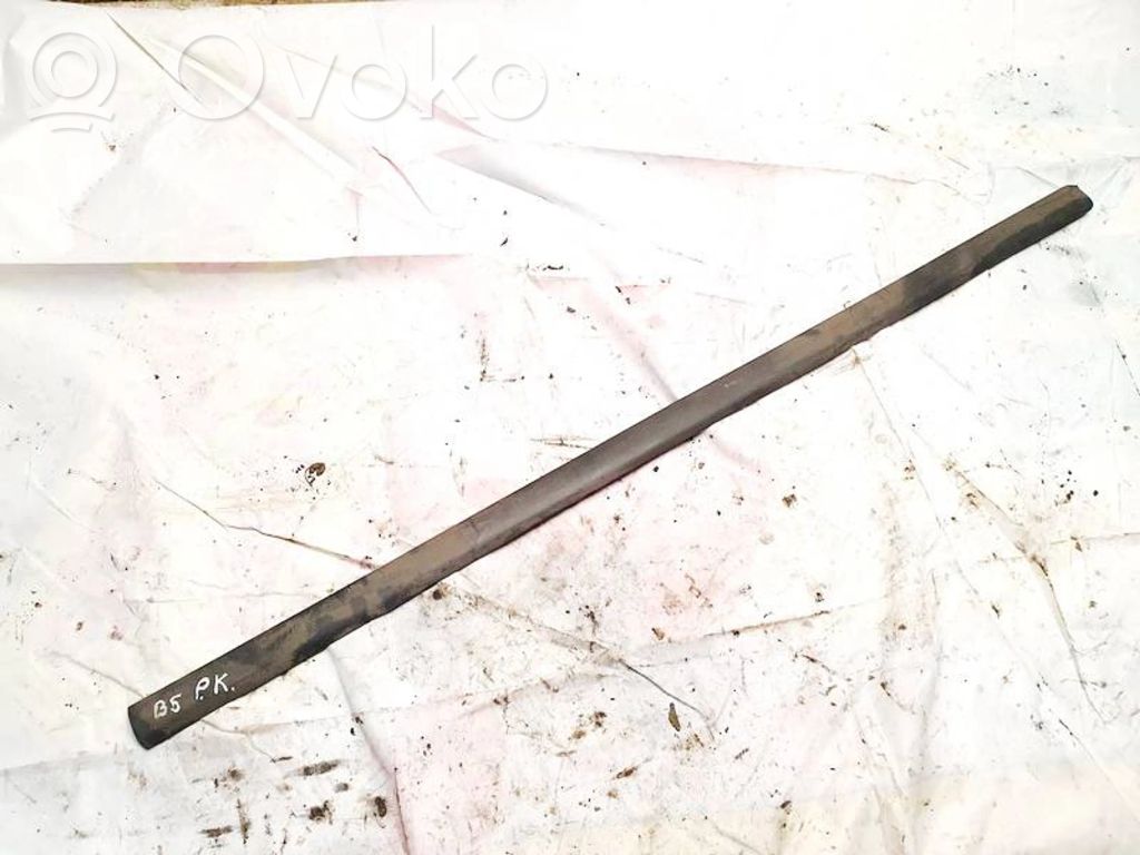 Volkswagen PASSAT B5.5 Rivestimento della portiera anteriore (modanatura)