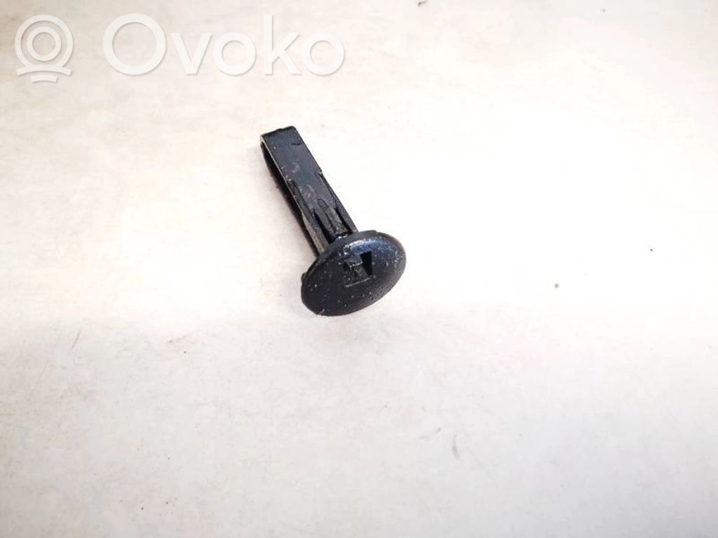 Renault Laguna III Altra parte interiore