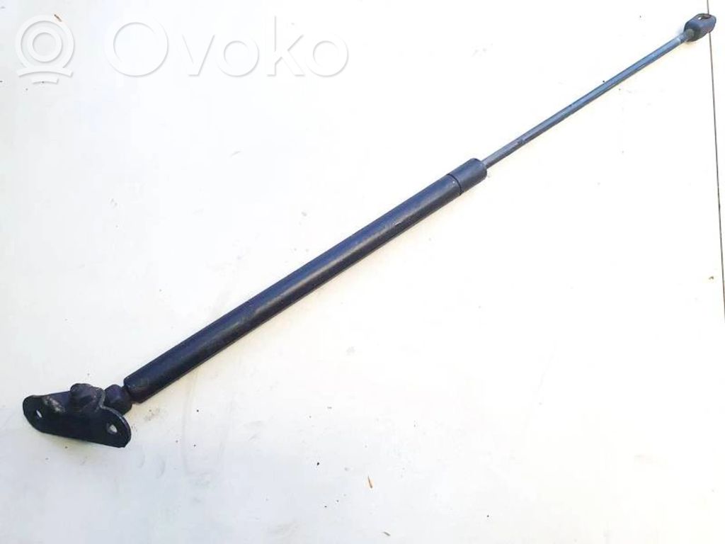 Tailgate/trunk strut/damper