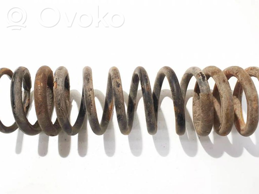 Rear coil spring