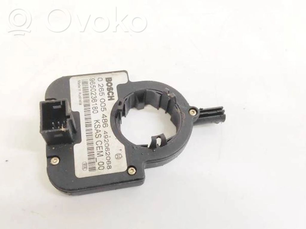 Citroen C4 I Maniglia/leva di regolazione del volante