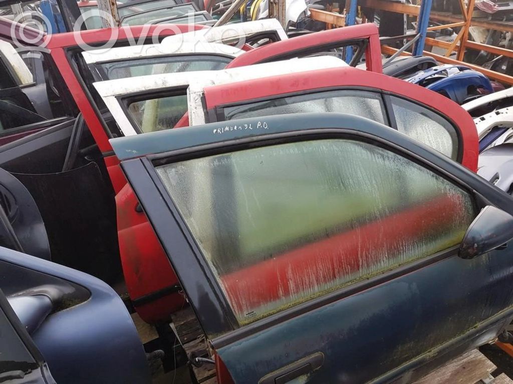 Nissan Primera Front door 