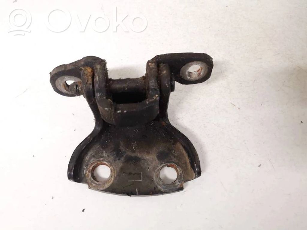 Rear door lower hinge