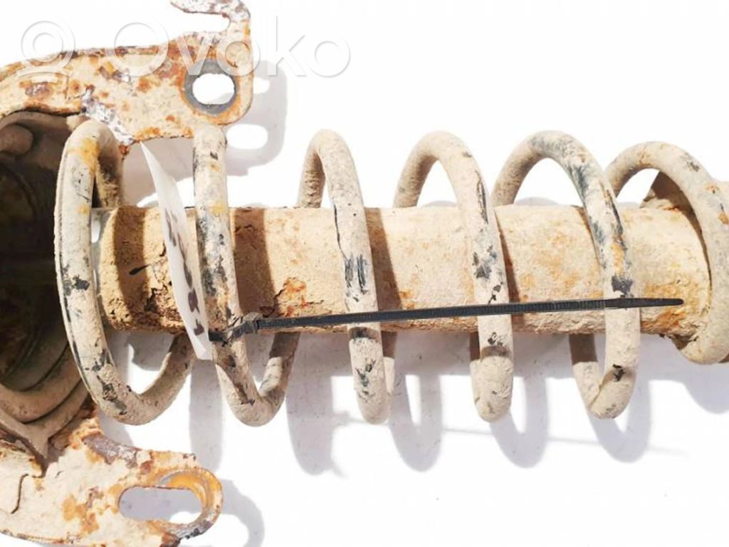 Rear coil spring