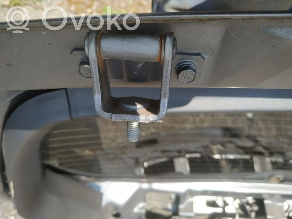 Tailgate/trunk/boot hinge