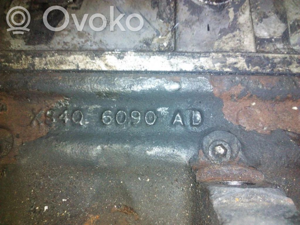 Ford Focus Galvutė 