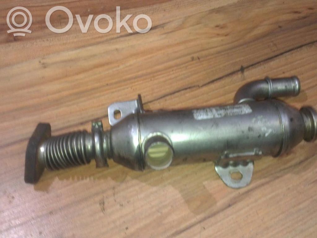 Citroen C5 Valvola di raffreddamento EGR