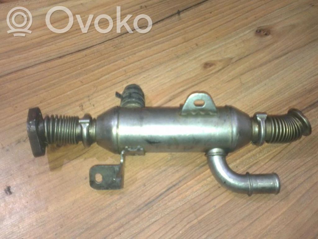 Citroen C5 Valvola di raffreddamento EGR