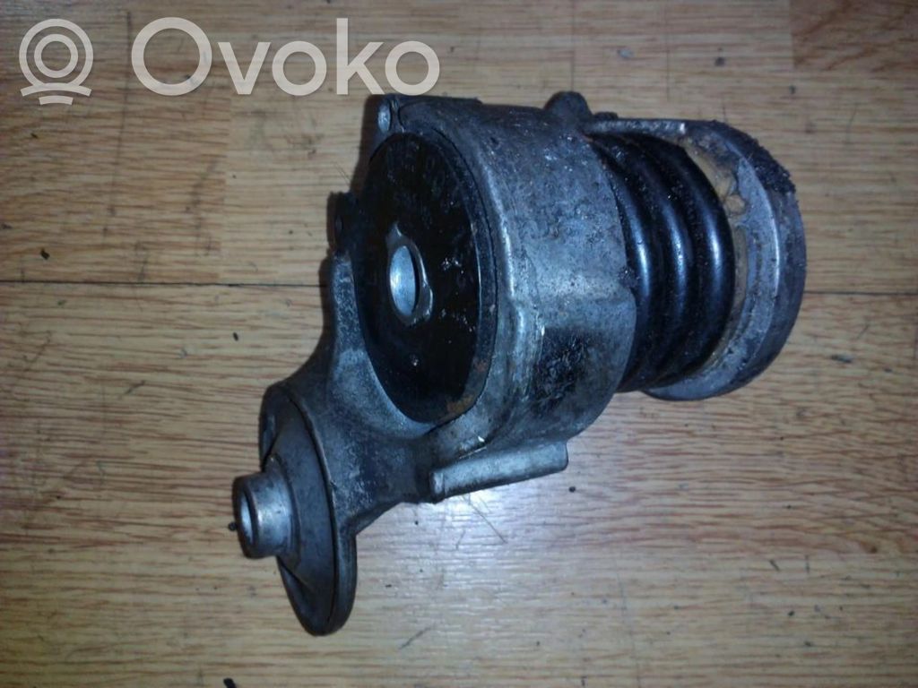 Seat Ibiza III (6L) Întinzător curea generator/alternator 