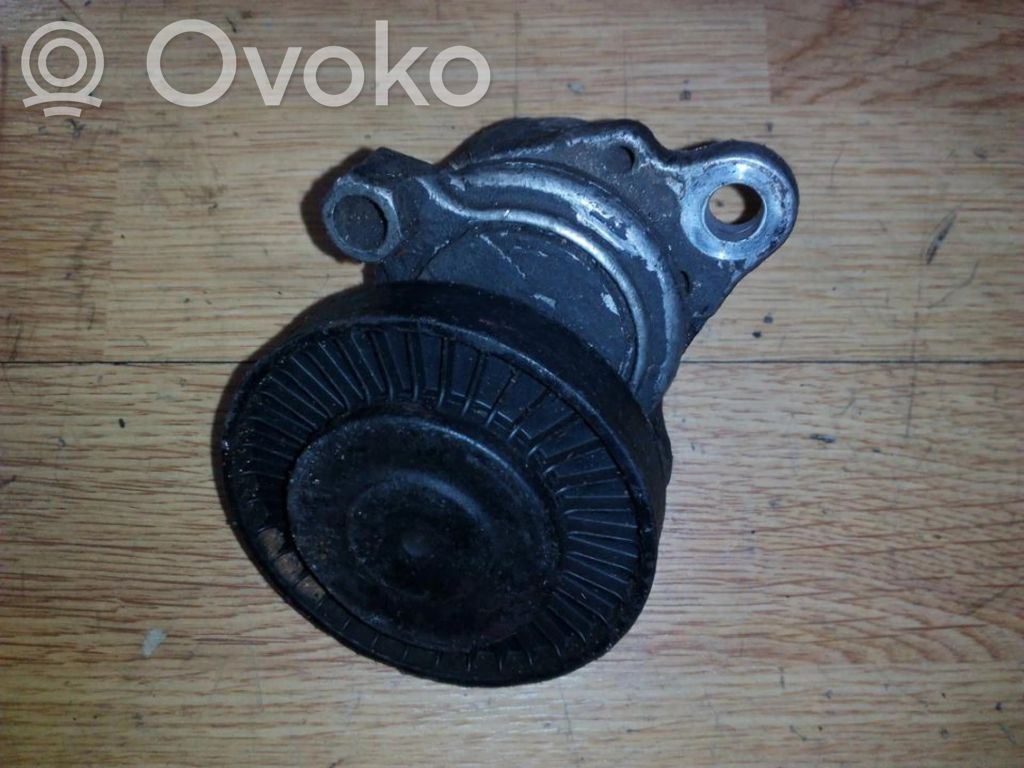 Land Rover Freelander Napinacz paska alternatora 