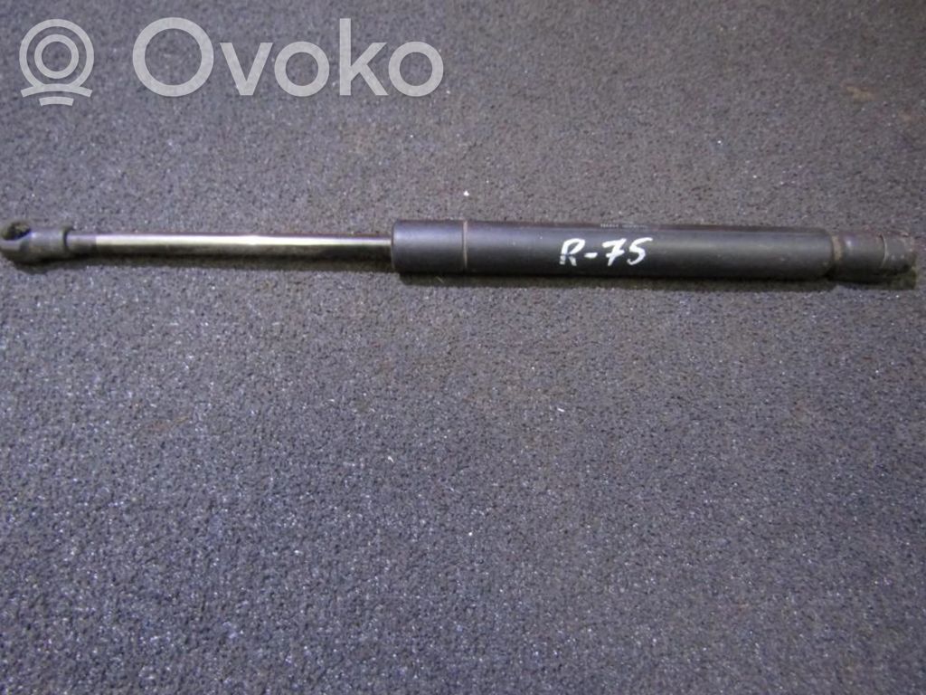 Tailgate/trunk strut/damper