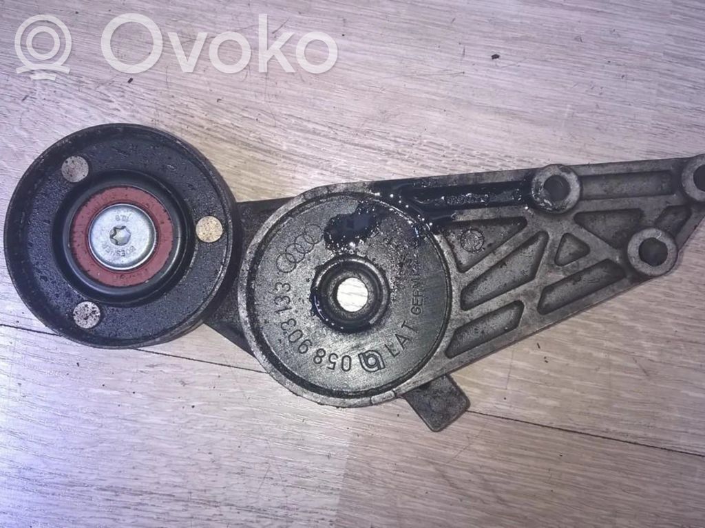 Volkswagen PASSAT B5 Întinzător curea generator/alternator 
