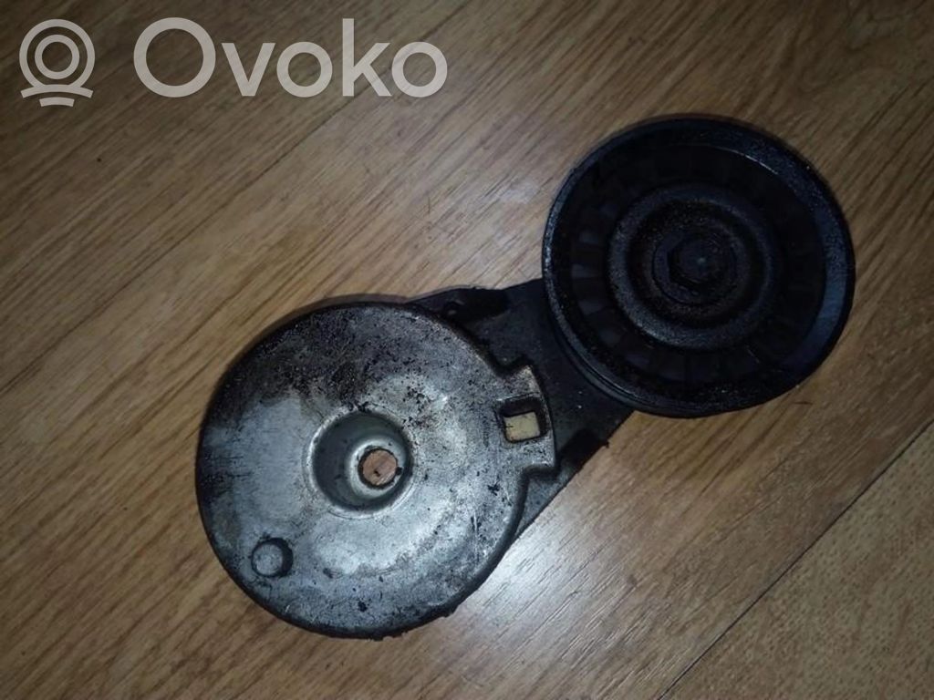 Diržo įtempėjas   12563083,12563083