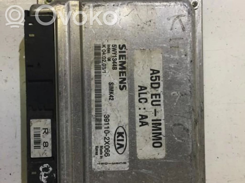 KIA Rio Engine control unit/module 