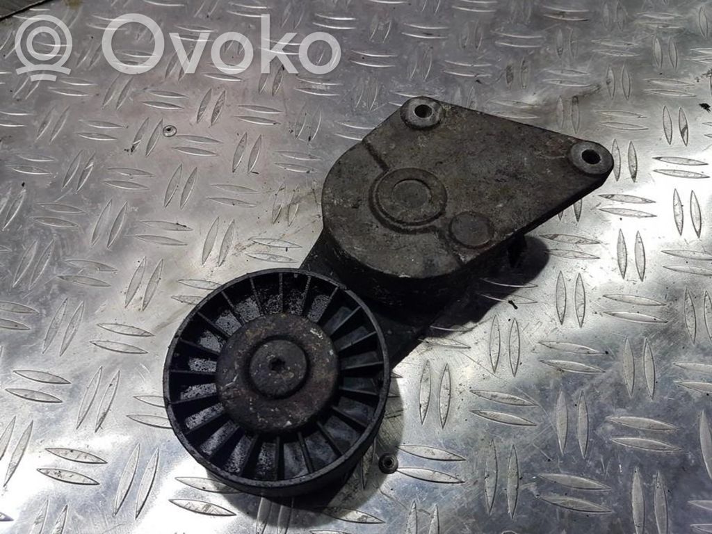Peugeot 406 Întinzător curea generator/alternator