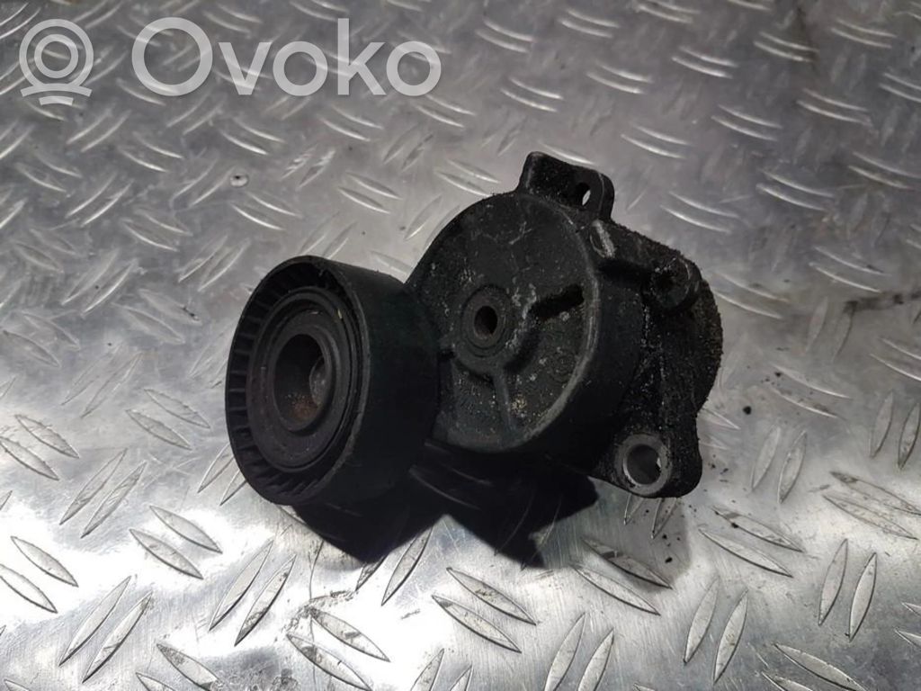 BMW 5 E34 Întinzător curea generator/alternator 