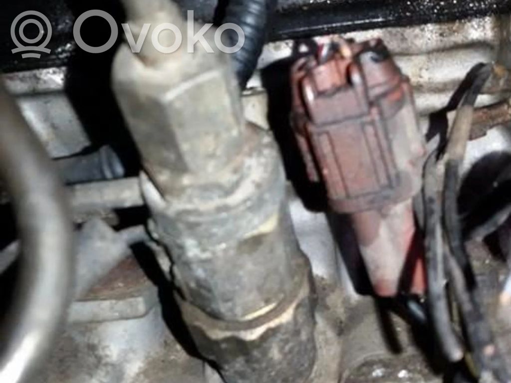 Injector combustibil