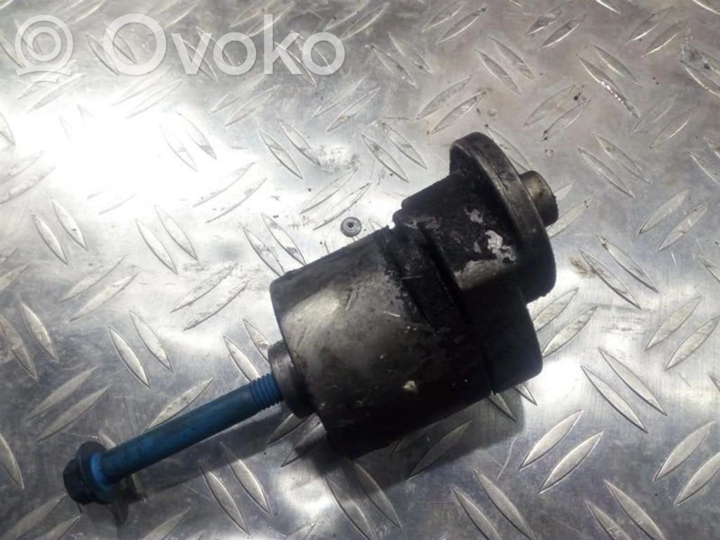 Ford Escort Diržo įtempėjas 