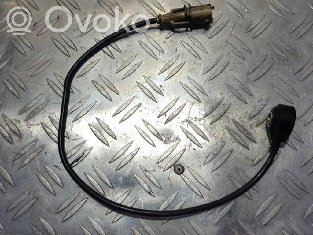 Klopfsensor   0261231131,0261231131