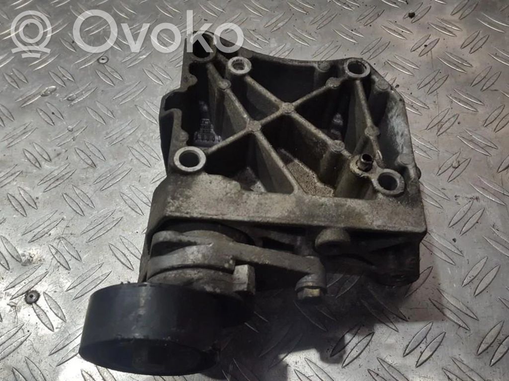 Întinzător curea generator/alternator