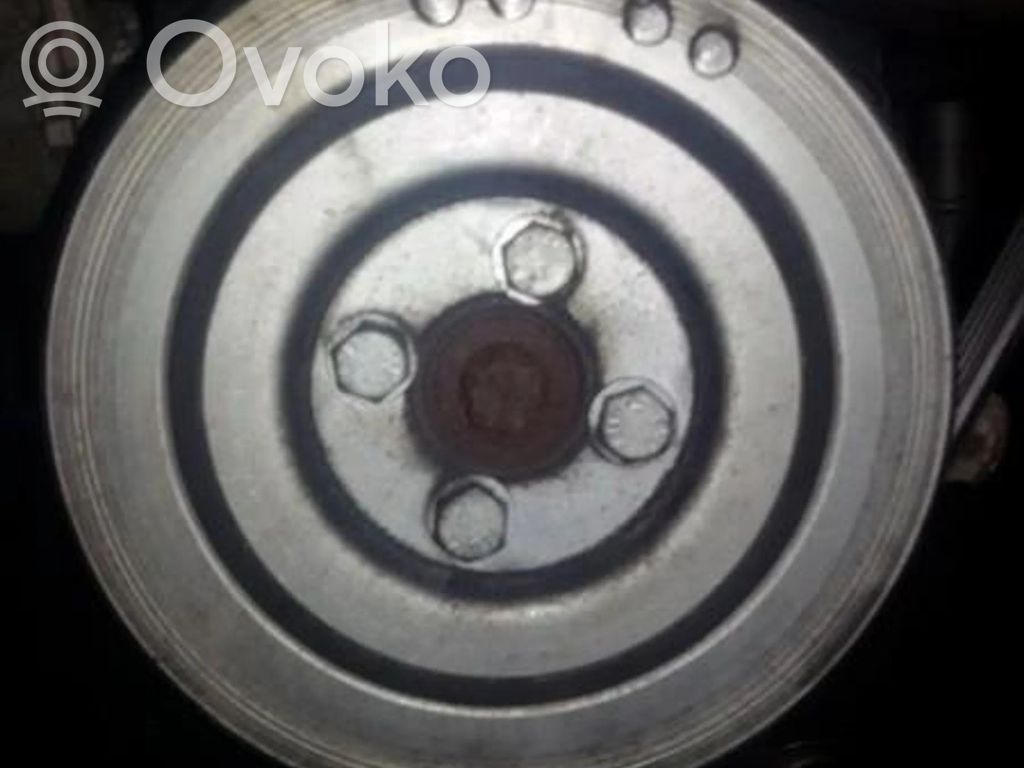 Fulie vibrochen   55200498,55200498